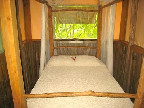 Lodge Roots Jungle Retreat Villa Marigot Dominica