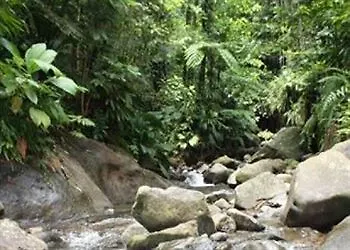 Roots Jungle Retreat Villa Marigot Lodge