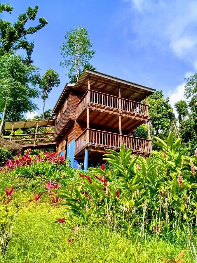 Roots Jungle Retreat Villa Marigot 0*,  Dominica