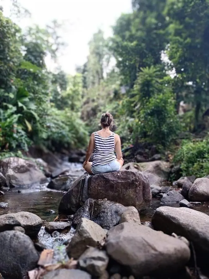 Roots Jungle Retreat Villa Marigot Lodge