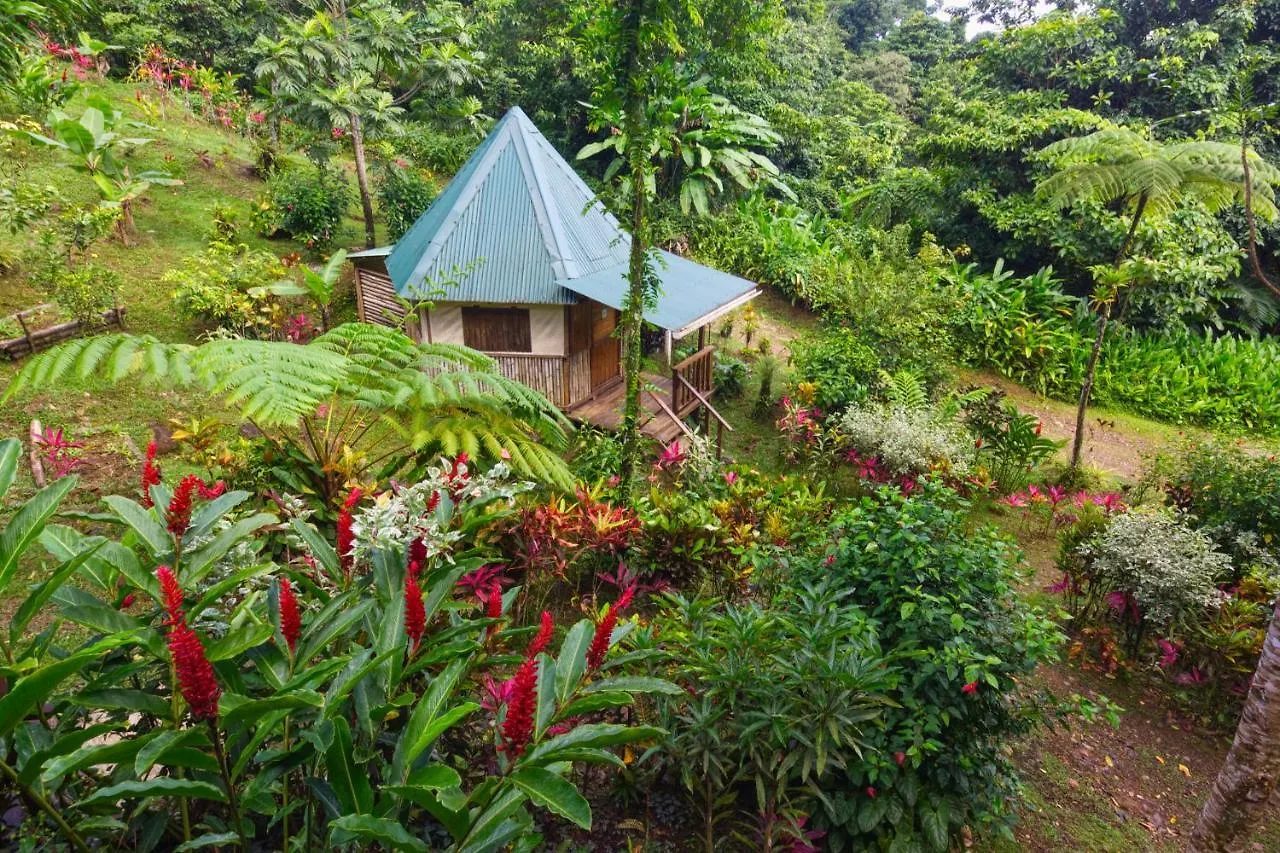 Roots Jungle Retreat Villa Marigot