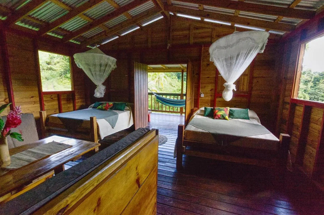 Roots Jungle Retreat Villa Marigot Lodge