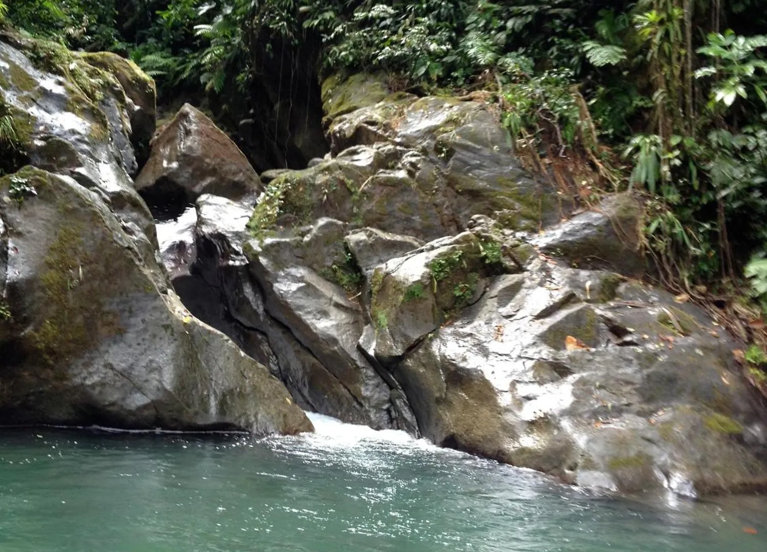 Roots Jungle Retreat Villa Marigot Lodge