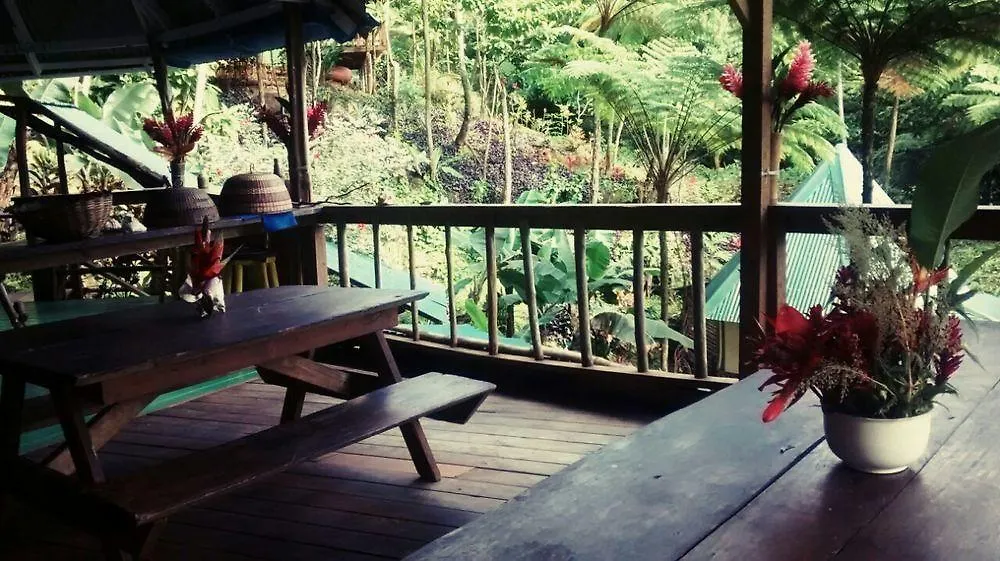 Lodge Roots Jungle Retreat Villa Marigot