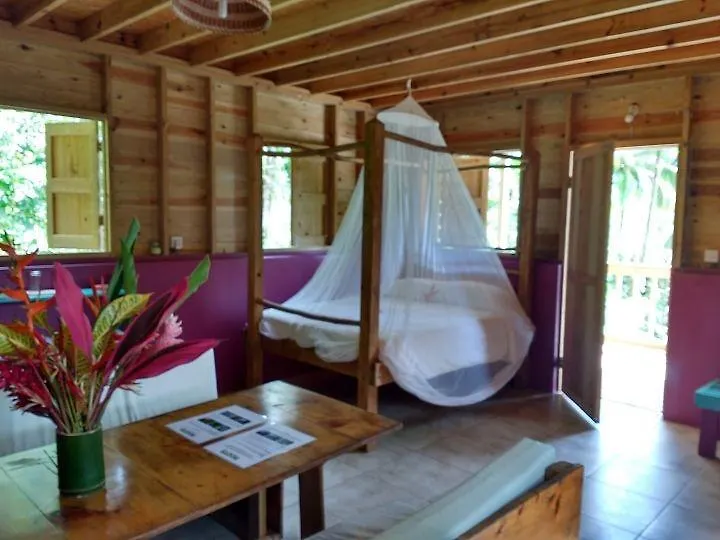 Roots Jungle Retreat Villa Marigot Lodge