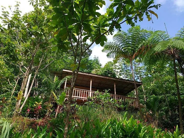 Lodge Roots Jungle Retreat Villa Marigot Dominica