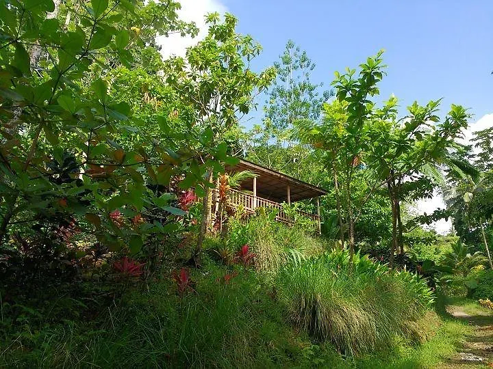 Roots Jungle Retreat Villa Marigot