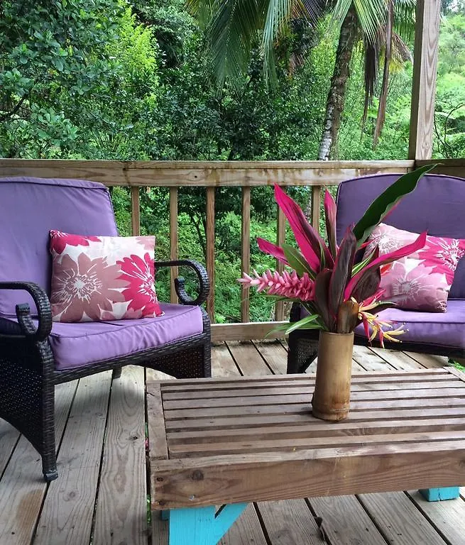 Roots Jungle Retreat Villa Marigot 0*,