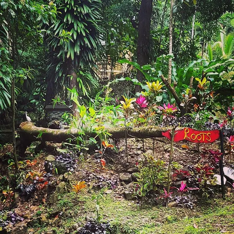 Lodge Roots Jungle Retreat Villa Marigot