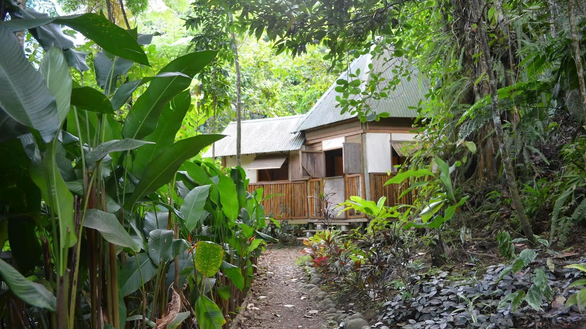 Roots Jungle Retreat Villa Marigot Lodge
