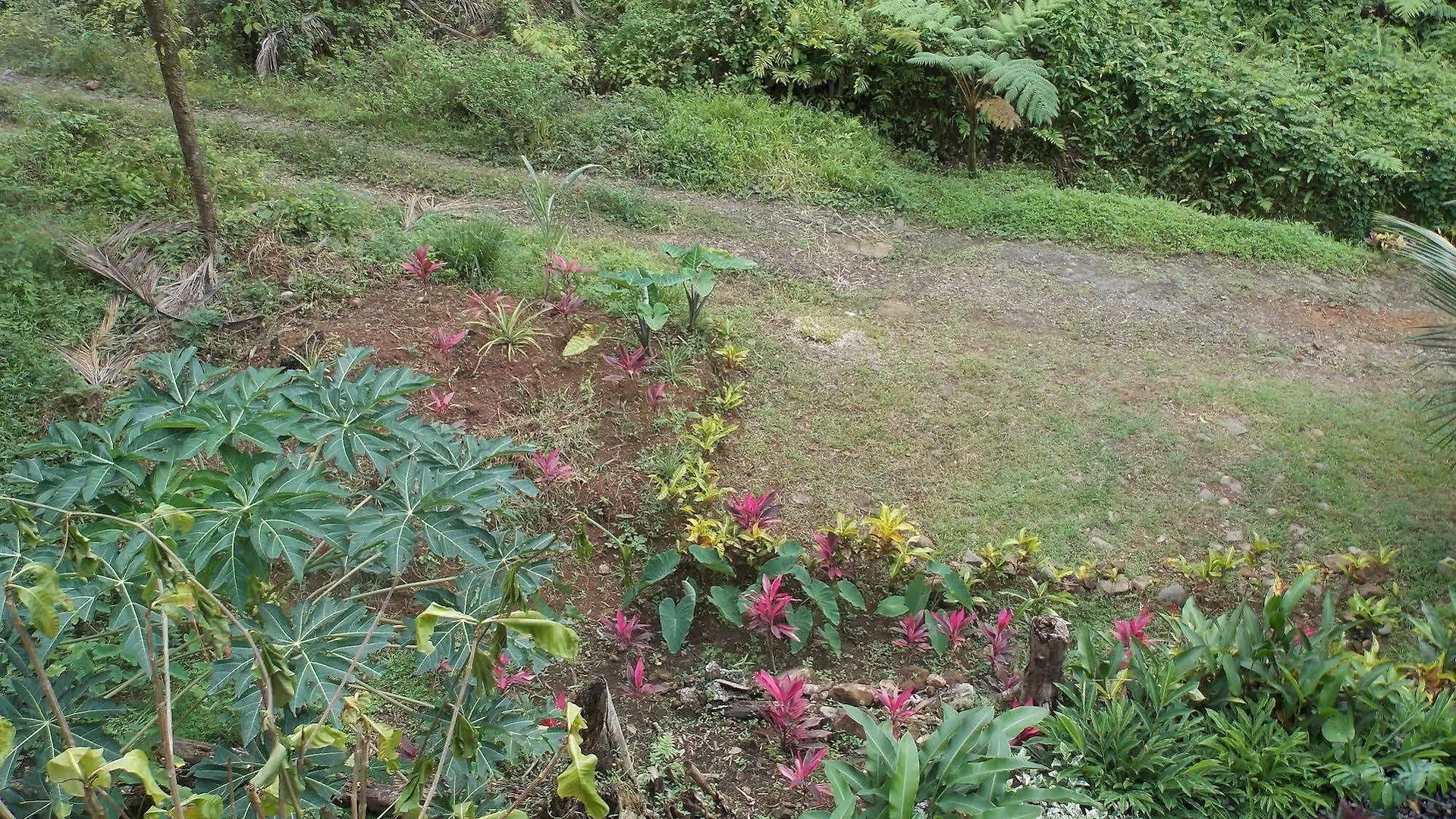 Lodge Roots Jungle Retreat Villa Marigot